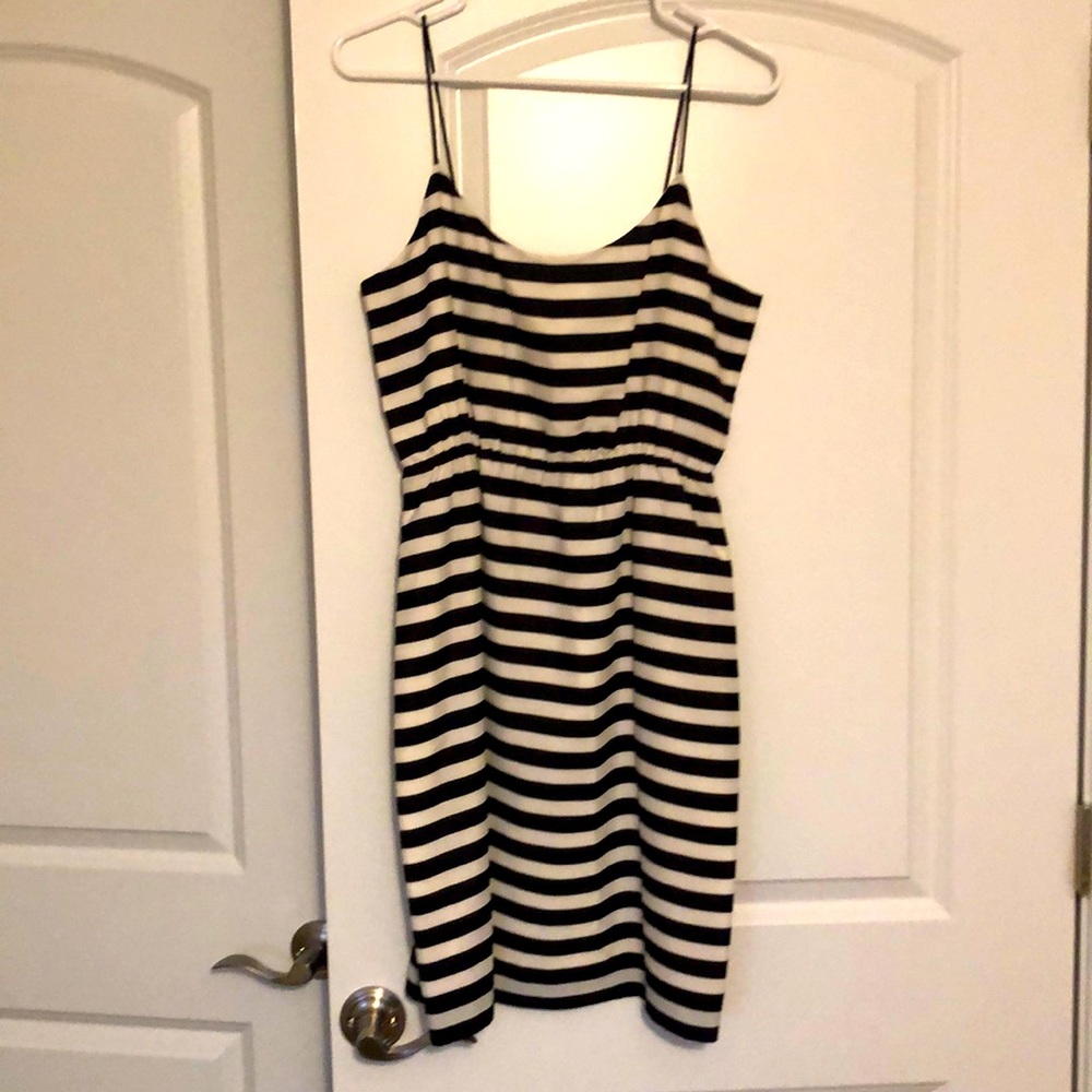 CUTEST DRESS. Never worn, NWT.